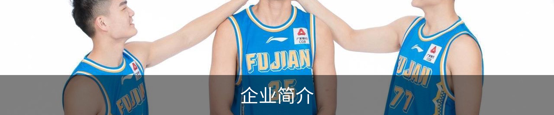 企业简介